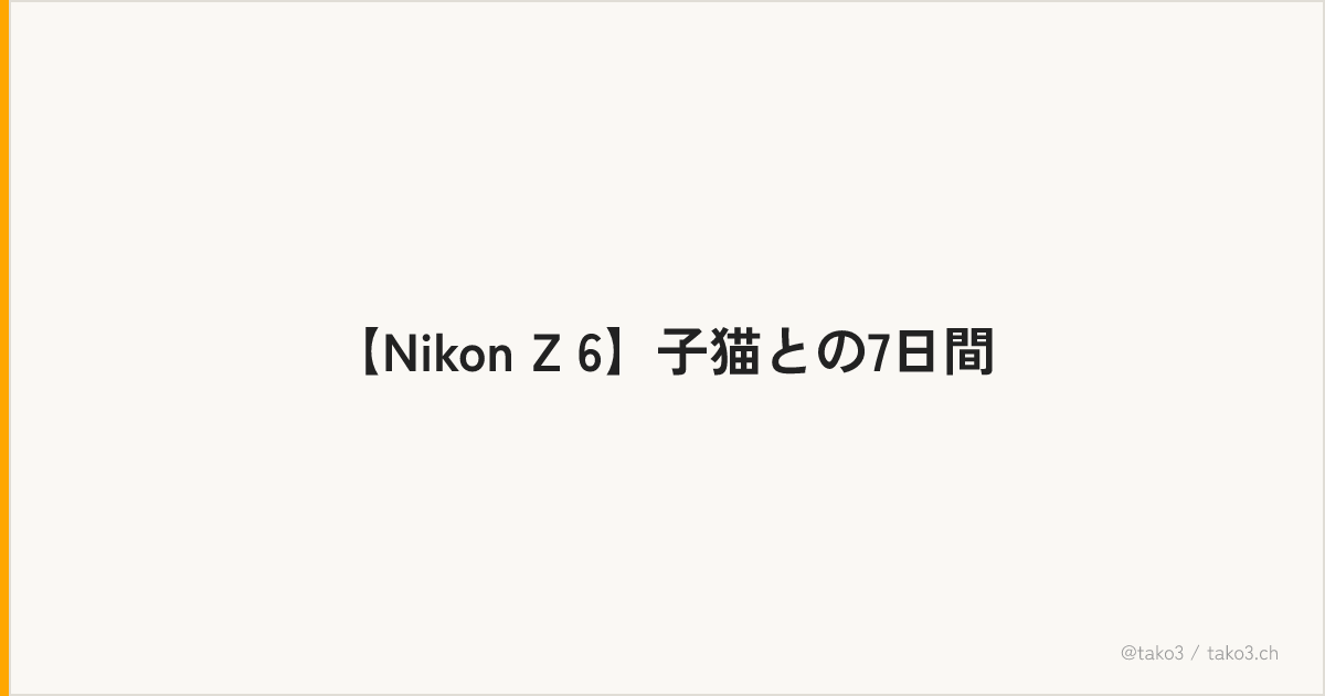 【Nikon Z 6】子猫との7日間