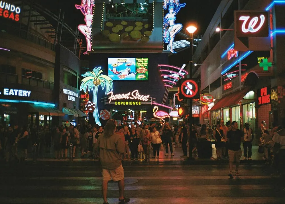 【 #わたしの標準レンズ 】Carl Zeiss Sonnar T* 2.8/38