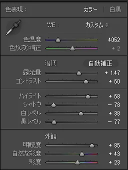 一眼レフで星空を撮影する時の話。撮り方とか設定。