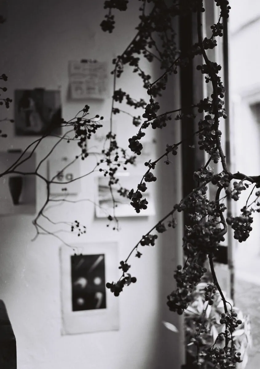 【フィルムカメラ作例】LeicaM3とBiGminiで蔵前ぶらり旅