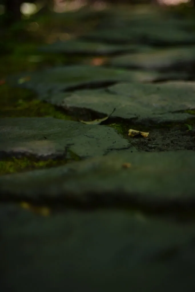 三軒茶屋から自転車で等々力渓谷に自然を求めて