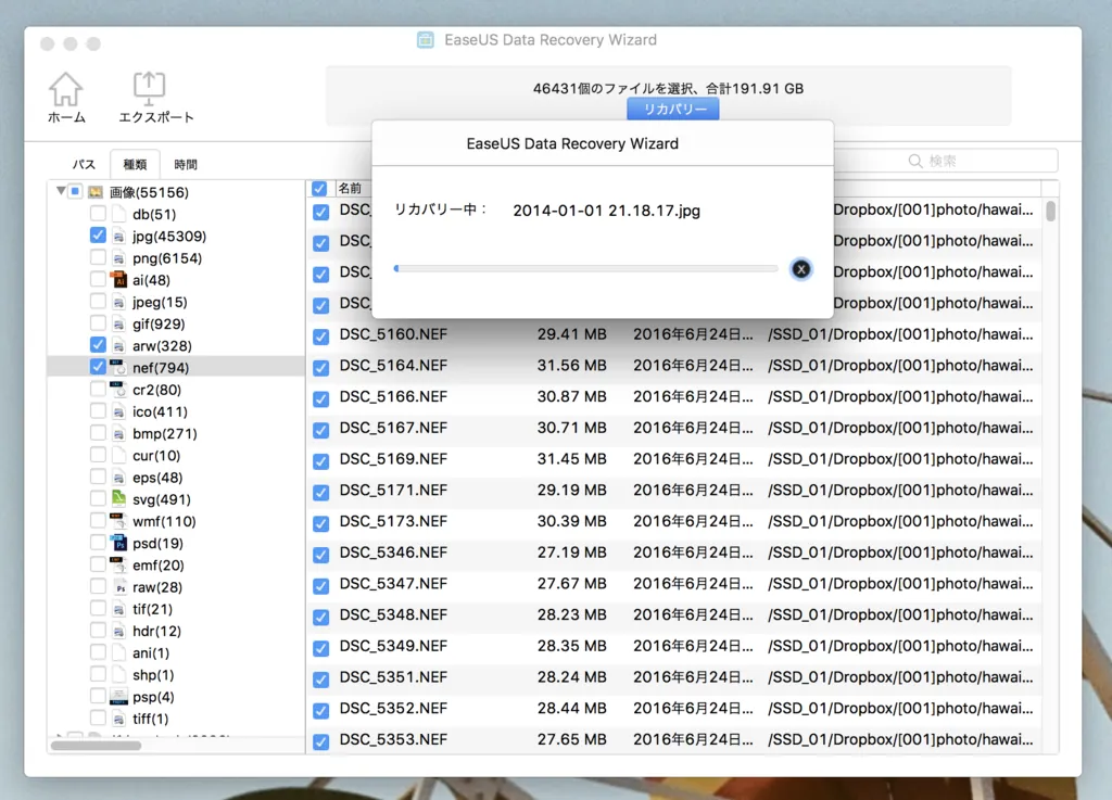 間違えて写真を消したので復元ソフトのData Recovery Wizardで復元してみた。