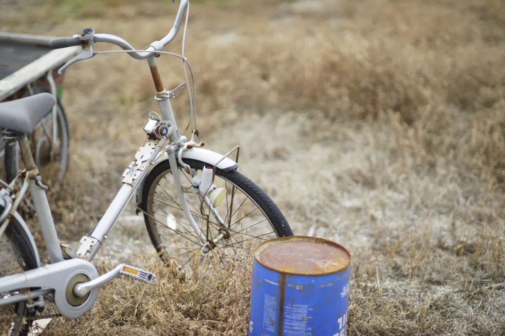 Sonyα7RⅡで使っている単焦点レンズをまとめてみた