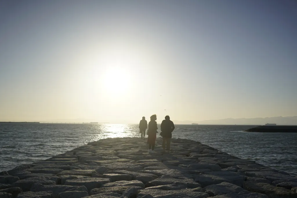 Sonyα7RⅡで使っている単焦点レンズをまとめてみた