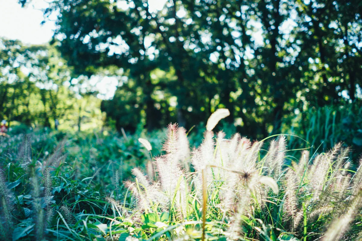 23499096568 befc4c8fb8 o