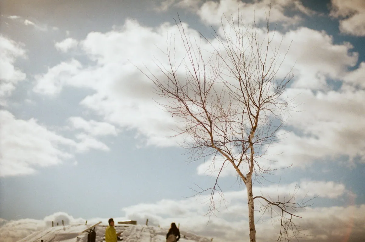 24463893288 1483c1b3de o 1