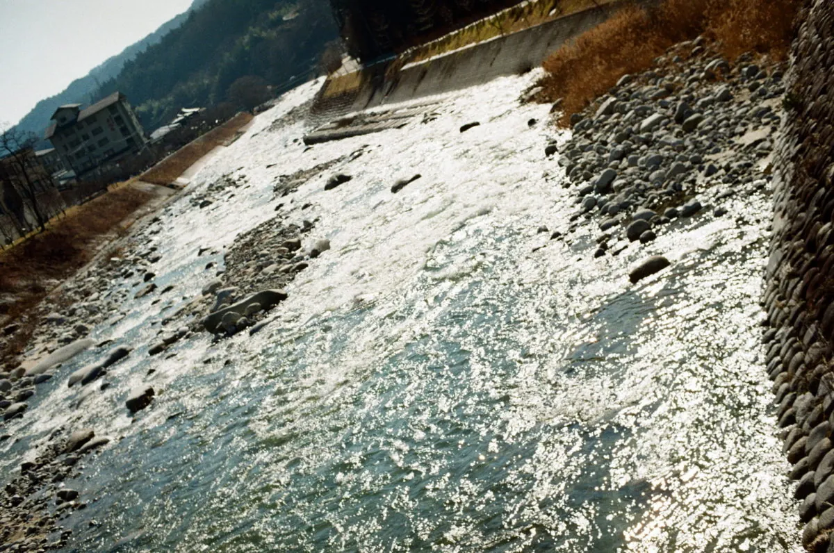 24463897898 724efd9d5e o