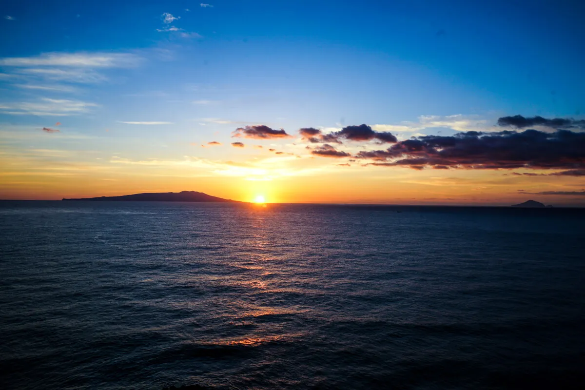 24746629017 16e8466359 o