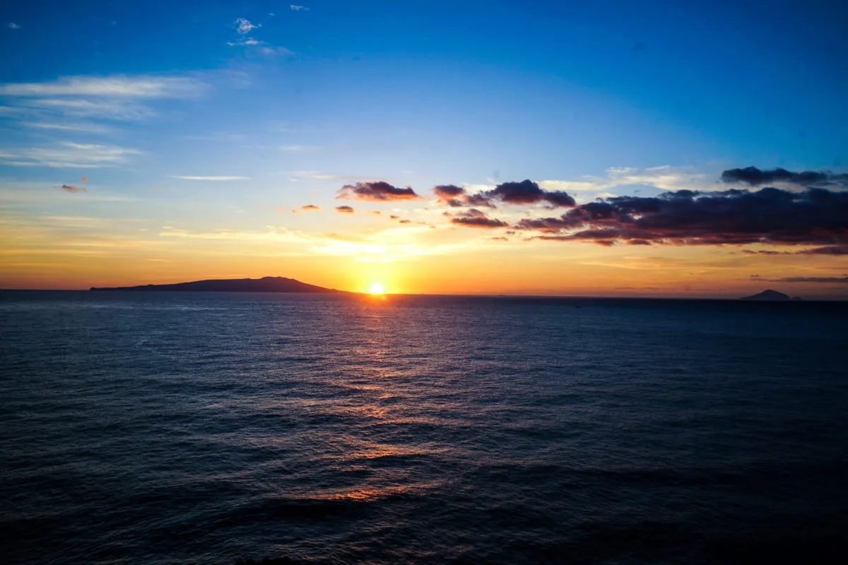 24746629017 aff0254c97 k