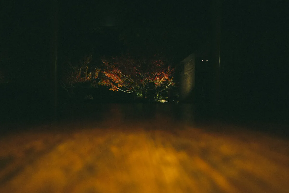 26738798589 39d48164cd o