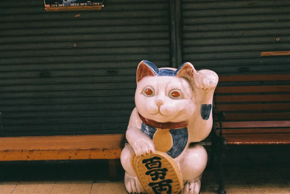 26879940706 902e9204d0 o