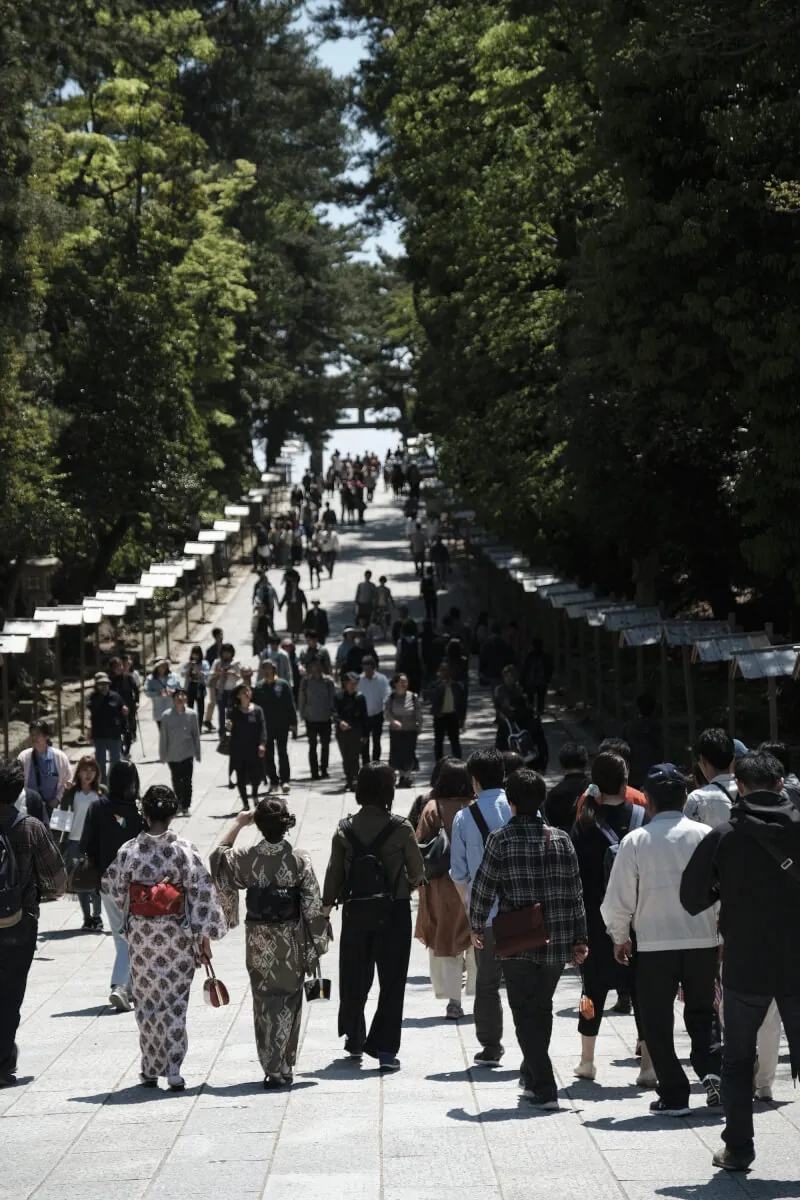 27034193977 f0dee5e51b o 1