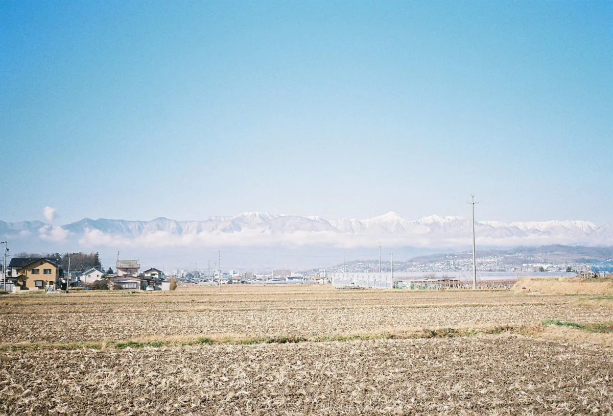 27276503787 6448c1d865 o