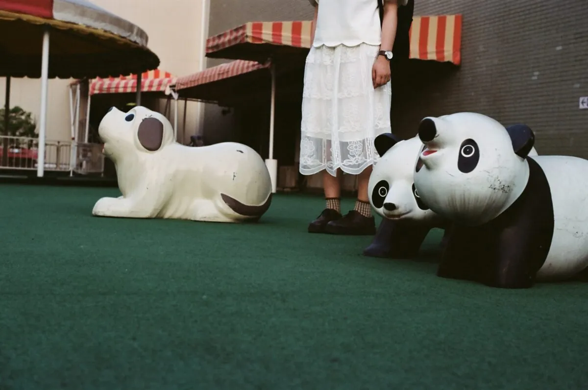 27443142324 cb38c7128c o