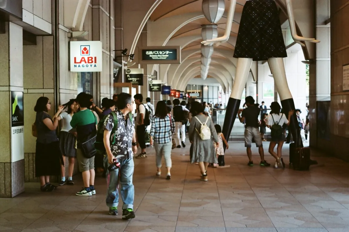 27443142834 8f9913bf4c o