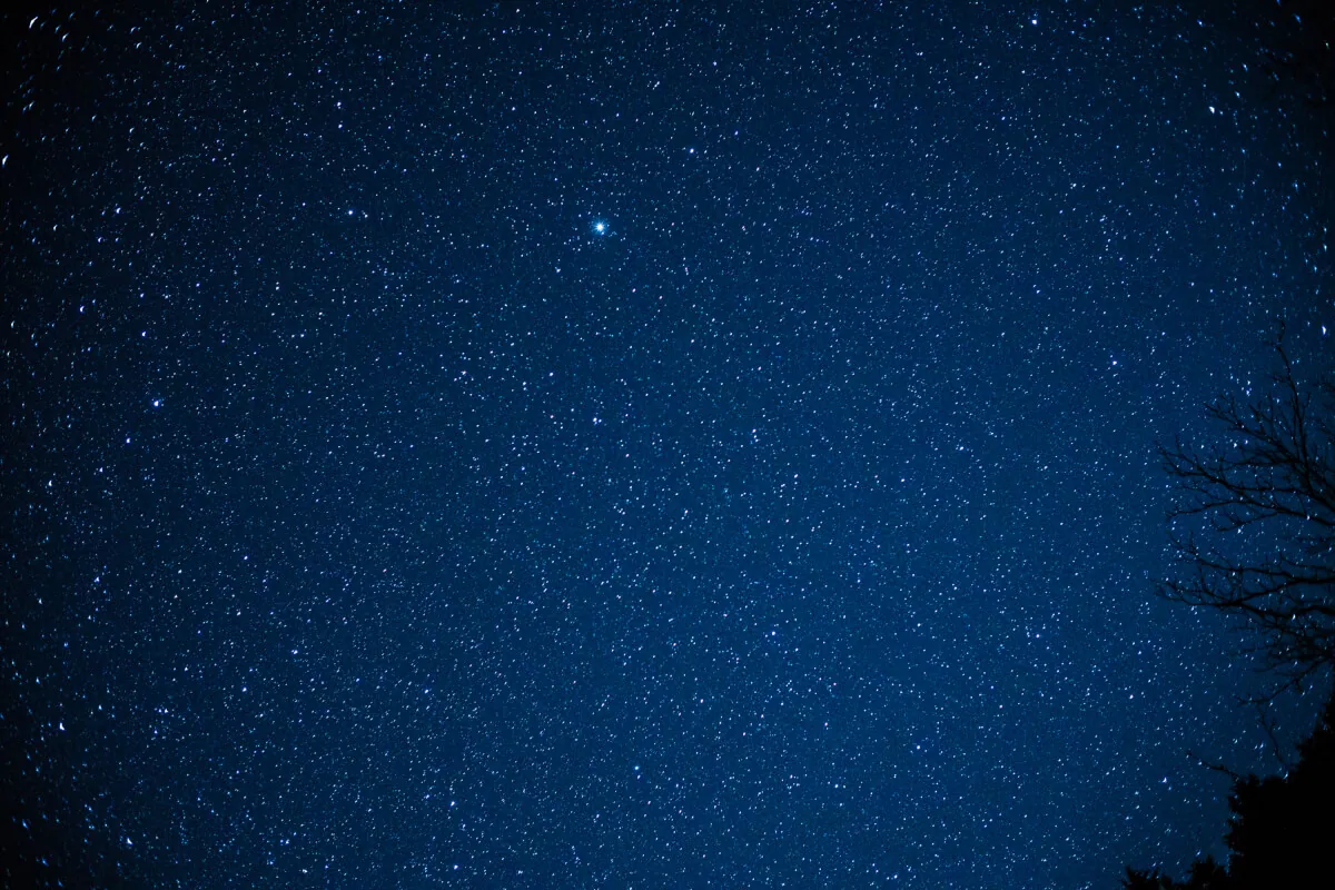 27689024728 0fa7fb653b o