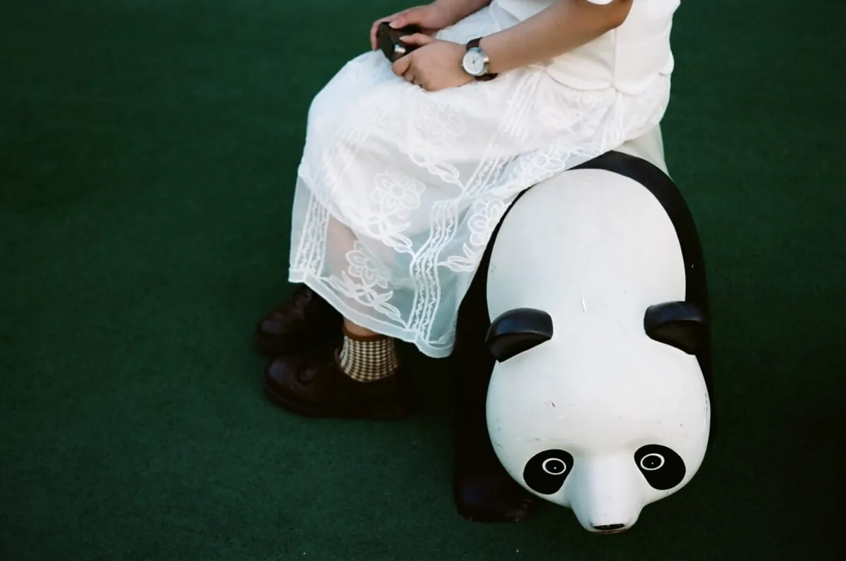 27954455812 7a80726354 o