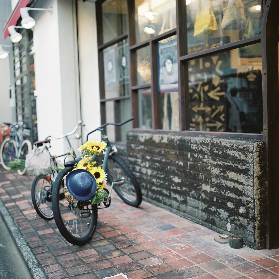 28060181813 0773964584 o