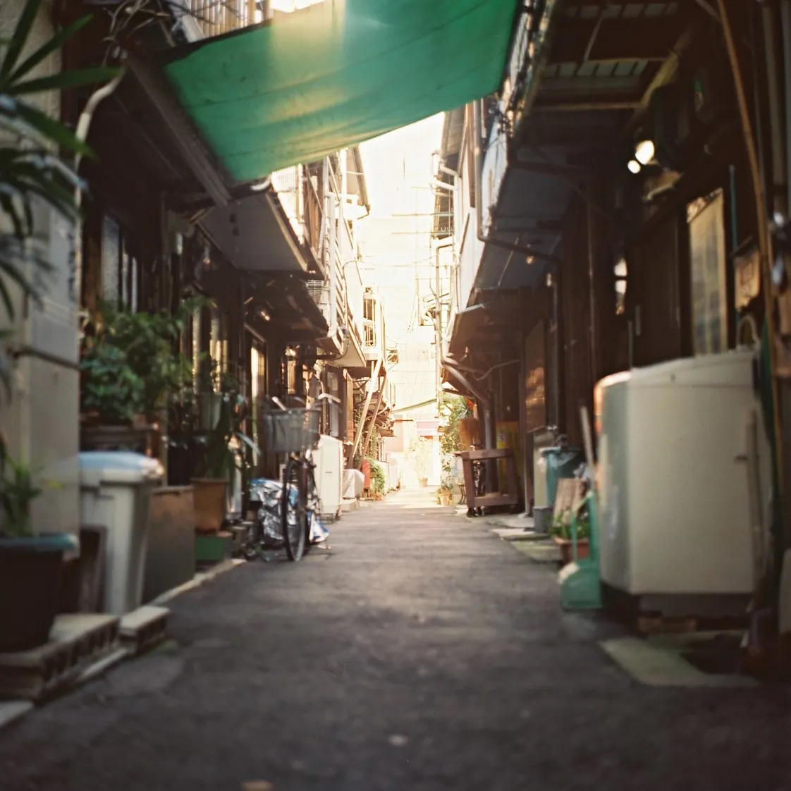 28060183533 192feafefa o