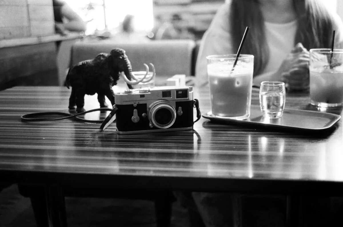 28091007356 426dc572d3 o