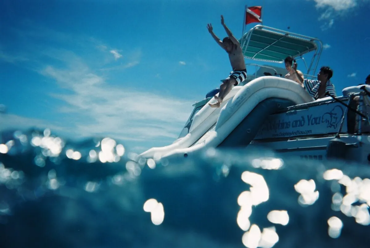 28530741721 b28dd39a91 o 1