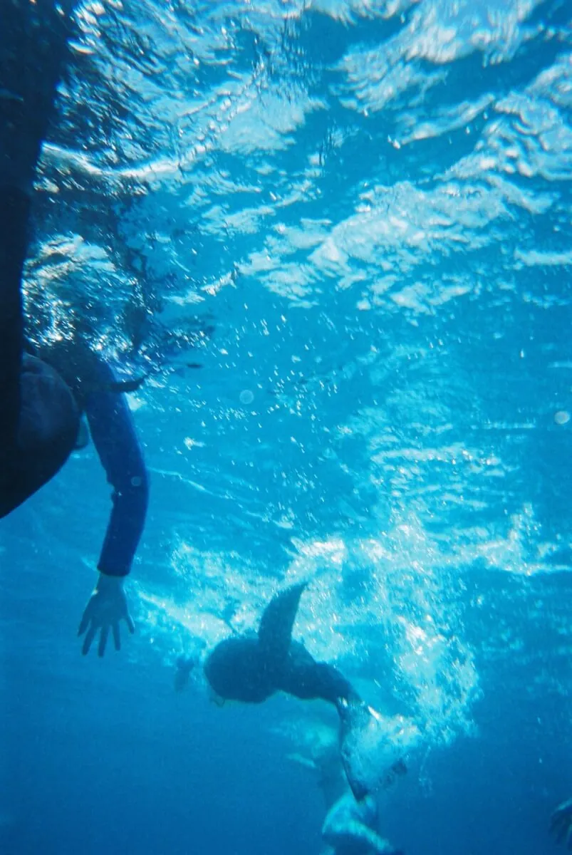 28530745041 aae7450007 o