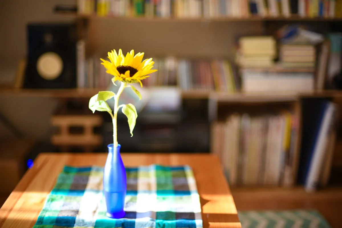 28817308970 a9047e1cfb o