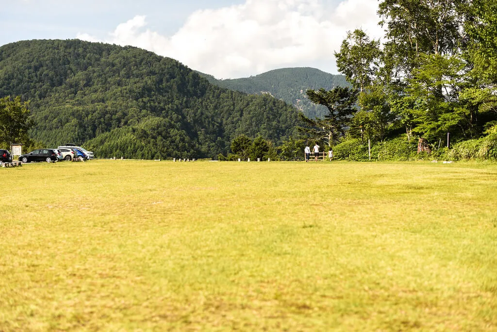 28829998252 01b50aa0d2 b