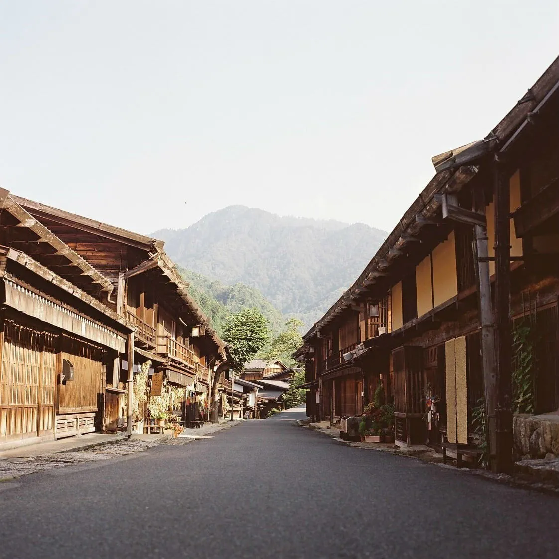 29008068234 aa86f488a3 o