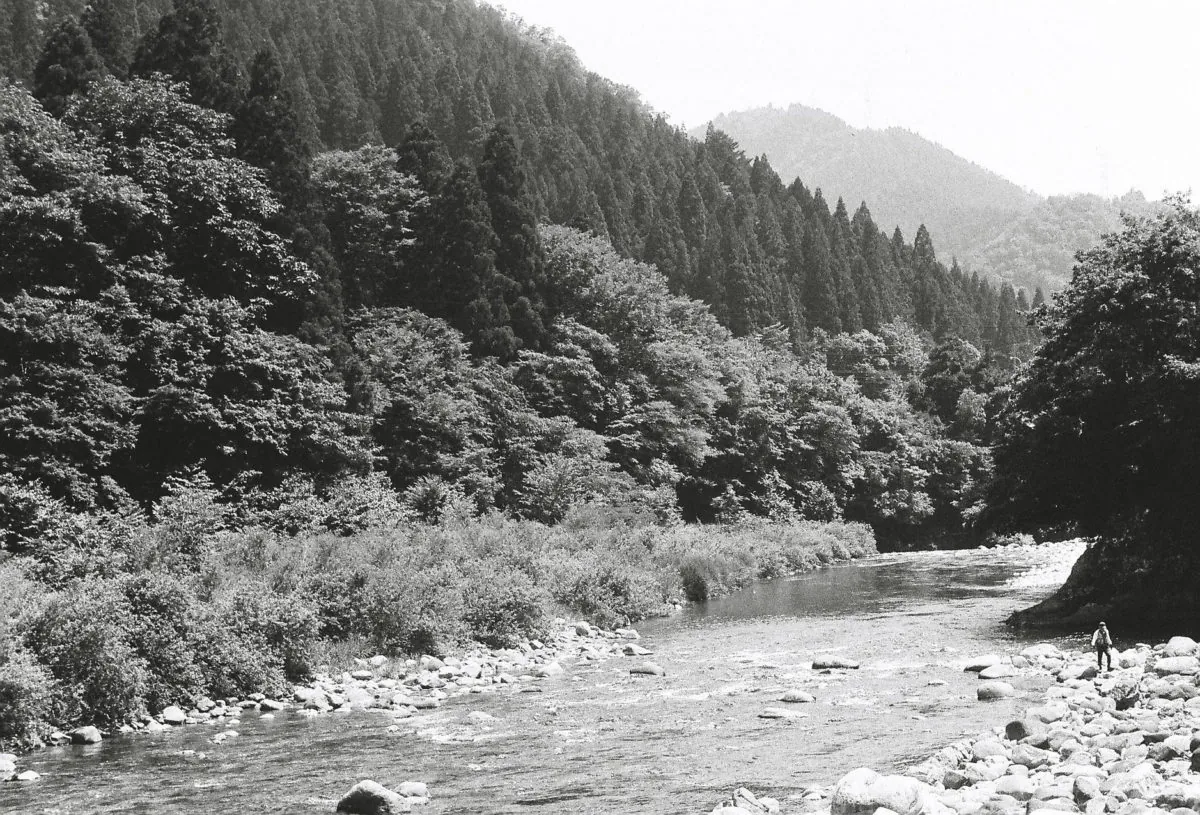 29156925610 91ffa0a274 o