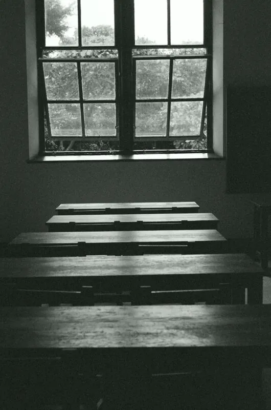 29208180084 2ced103a57 o