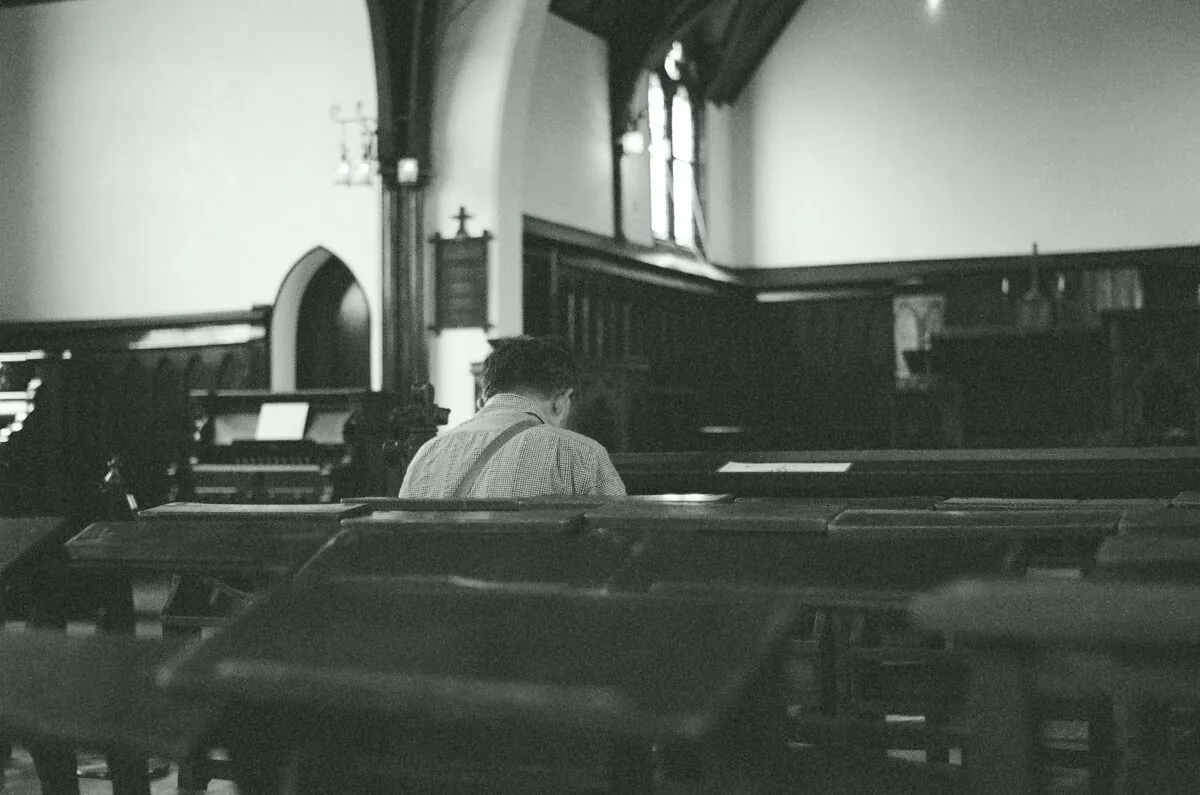 29208183874 5202c3d7e4 o