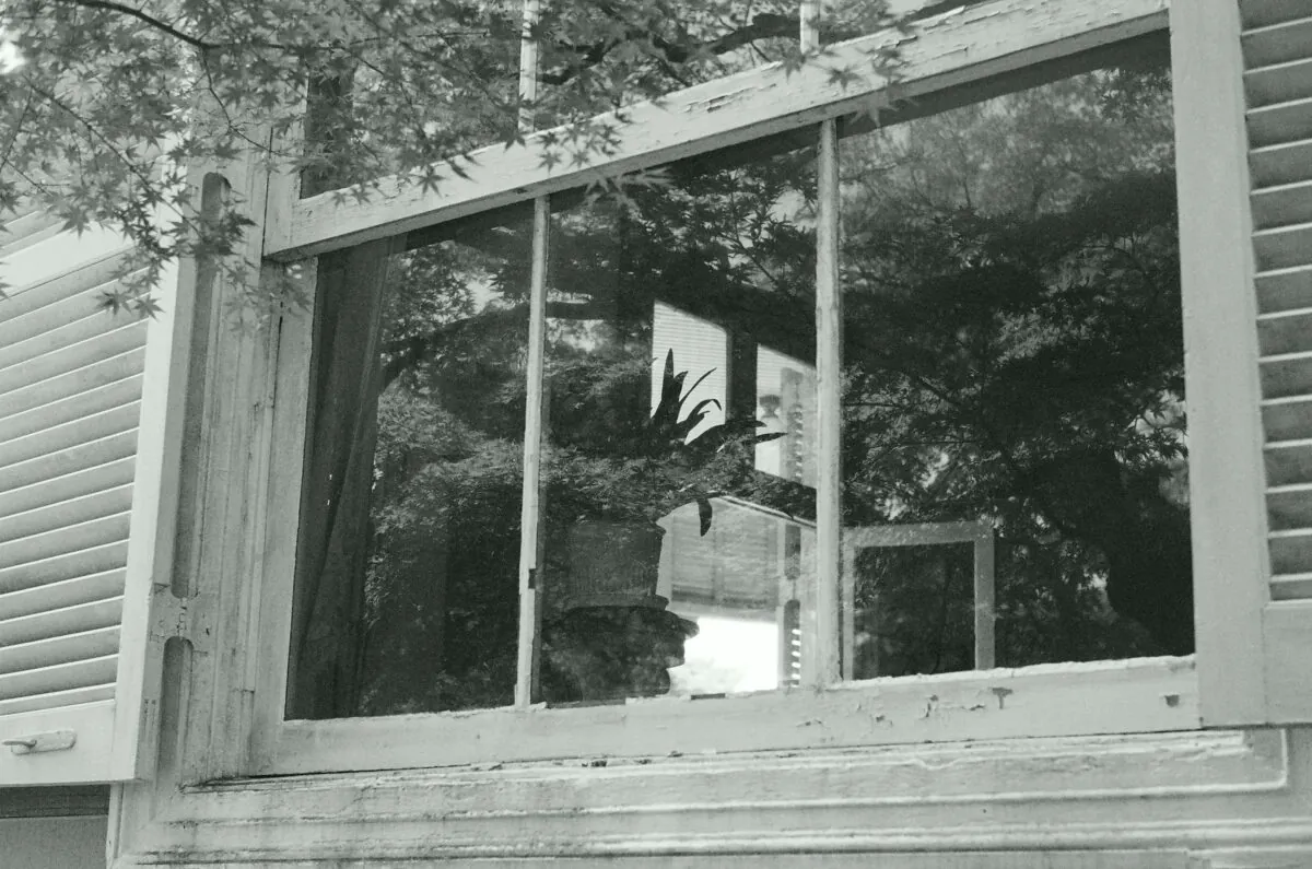 29208188584 4832159e4d o