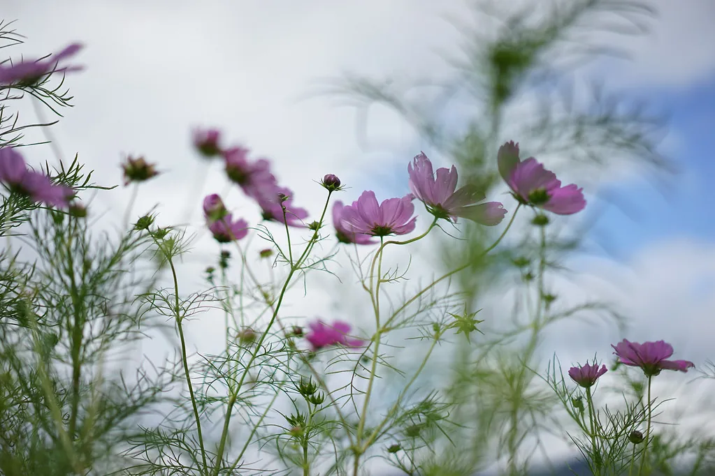 29435022013 3bf337940e b