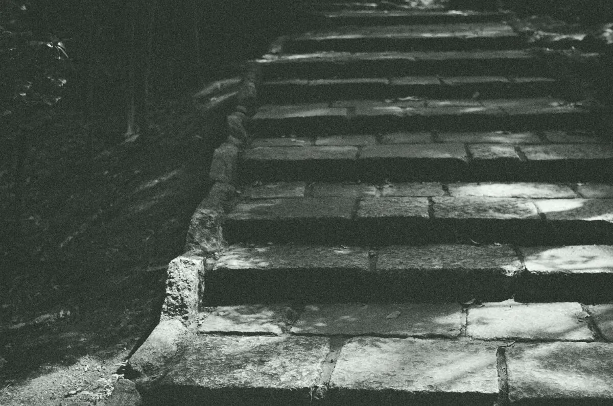 29542784480 15266b43c0 o