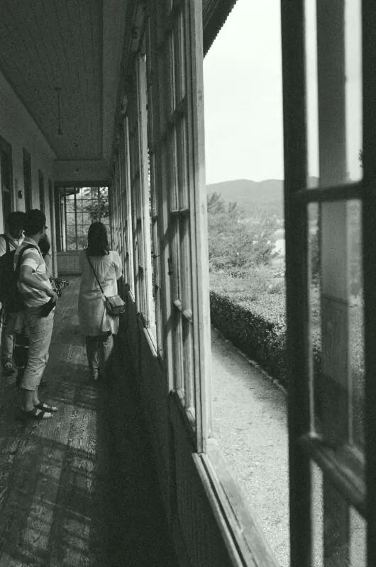 29542791270 487cdb9f30 o