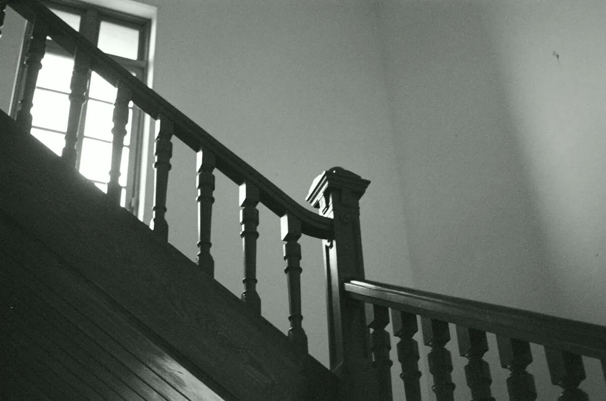 29542804230 e49411bb55 o