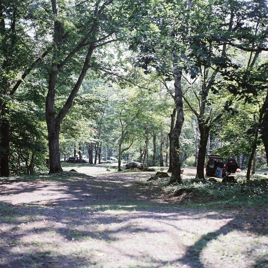 29634424875 cf04d096bc o