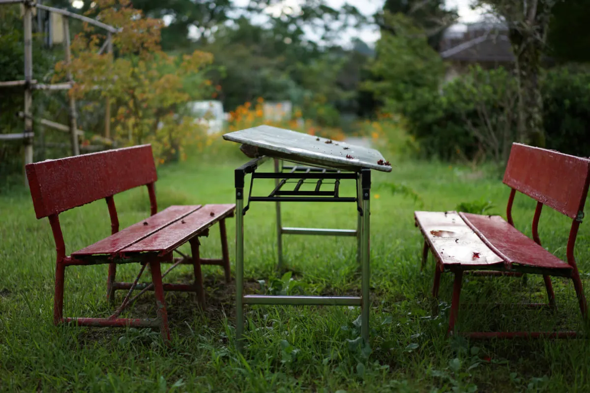 29858395744 29fe46fe84 o