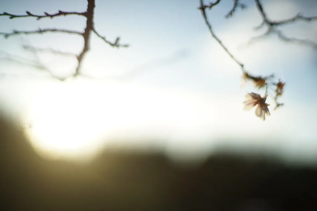 30028552403 c0cd5e2da3 b