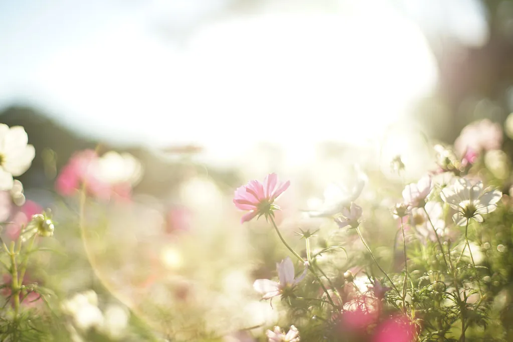 30362472480 76384936ba b