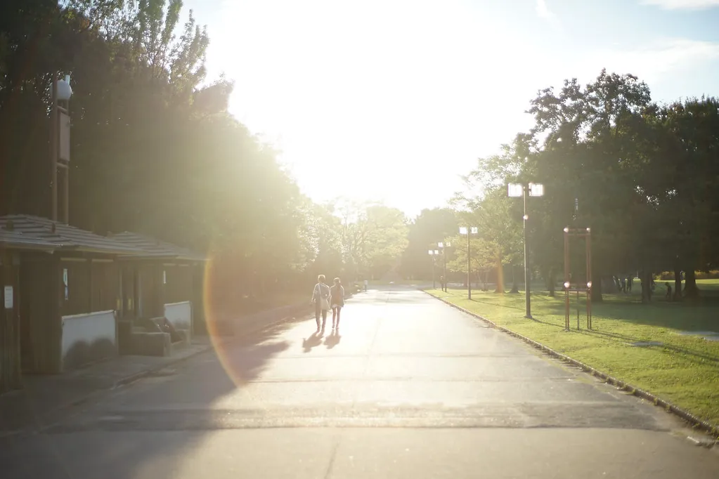 30362472810 ebf2d3fcff b