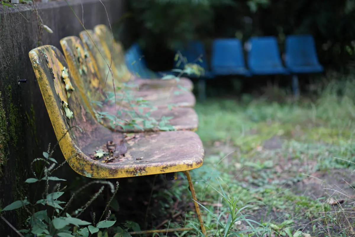 30402324951 1abdce8997 o