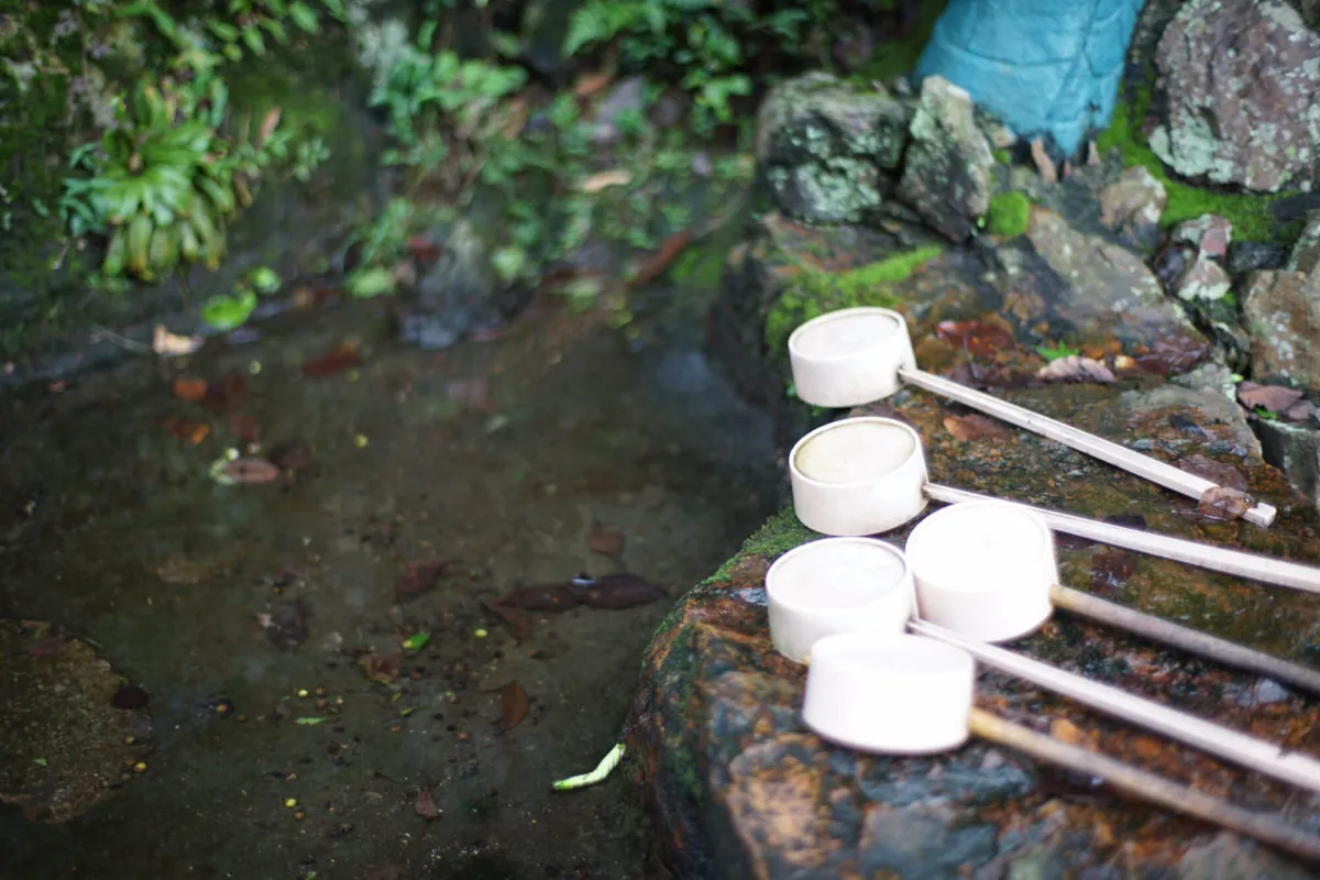 30402325111 f81a4a5657 o