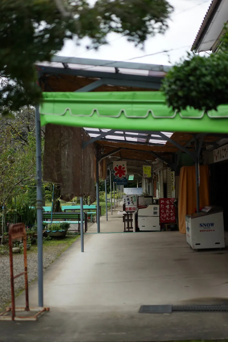 30452619566 92399a1910 o