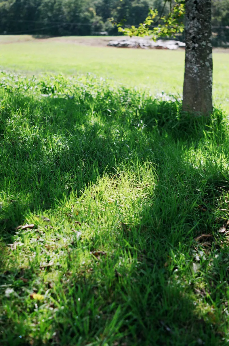 30559742020 9c1d61b0bf o