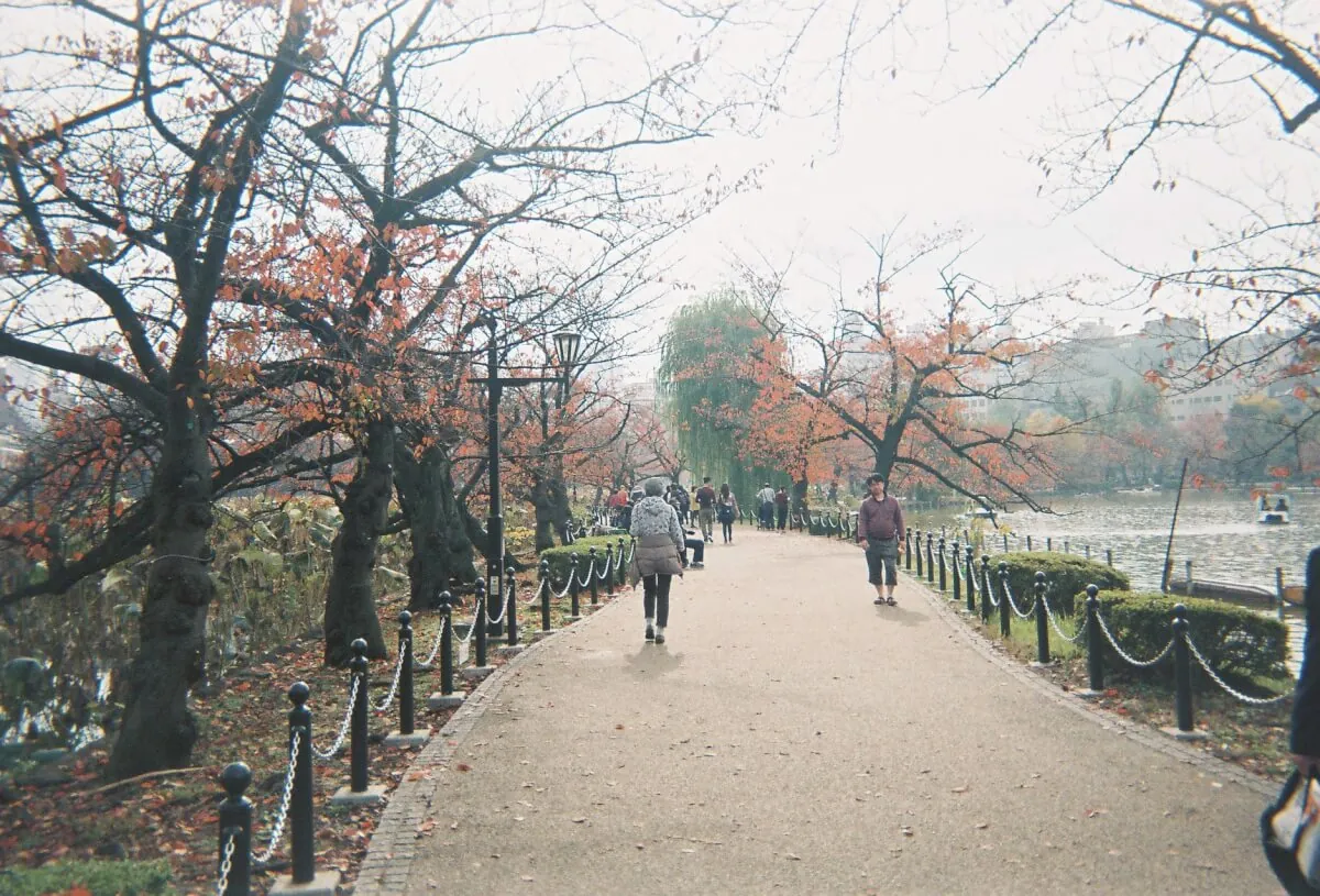 31721692964 8ae7dd5114 o