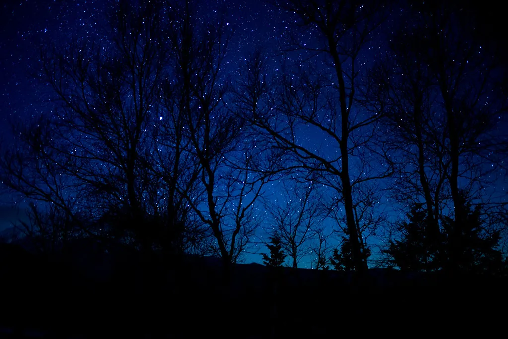 31813634090 0654c8af93 b