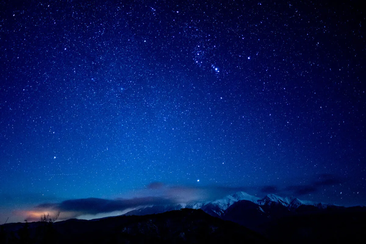 31813636500 bc2c95eaa7 o 2