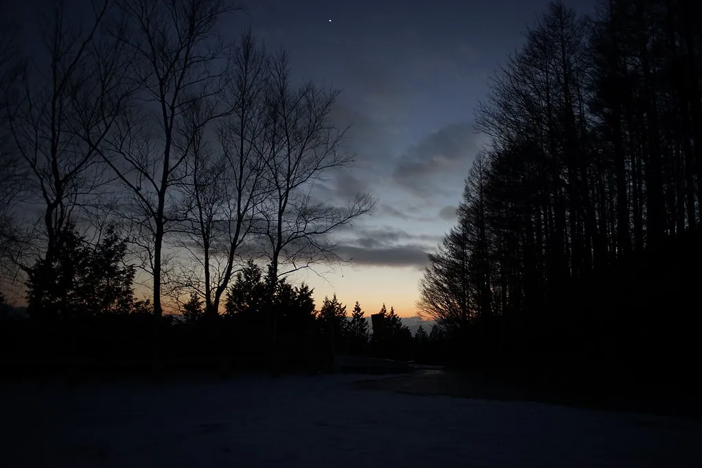 31813636640 2943b69f07 b